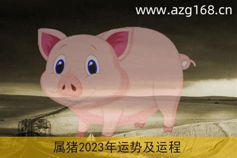 2024猪运程|属猪2024年运势及运程详解 2024年属猪人的全年每月运势